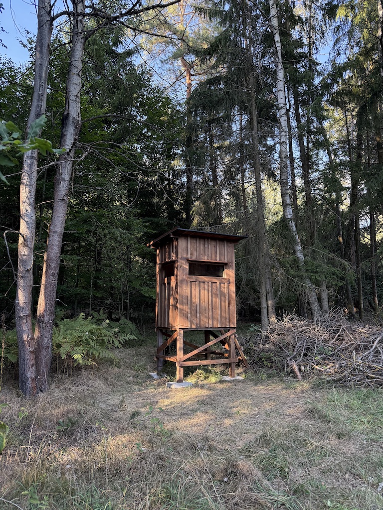 Hochsitz Waldviertel Wildbeobachtung