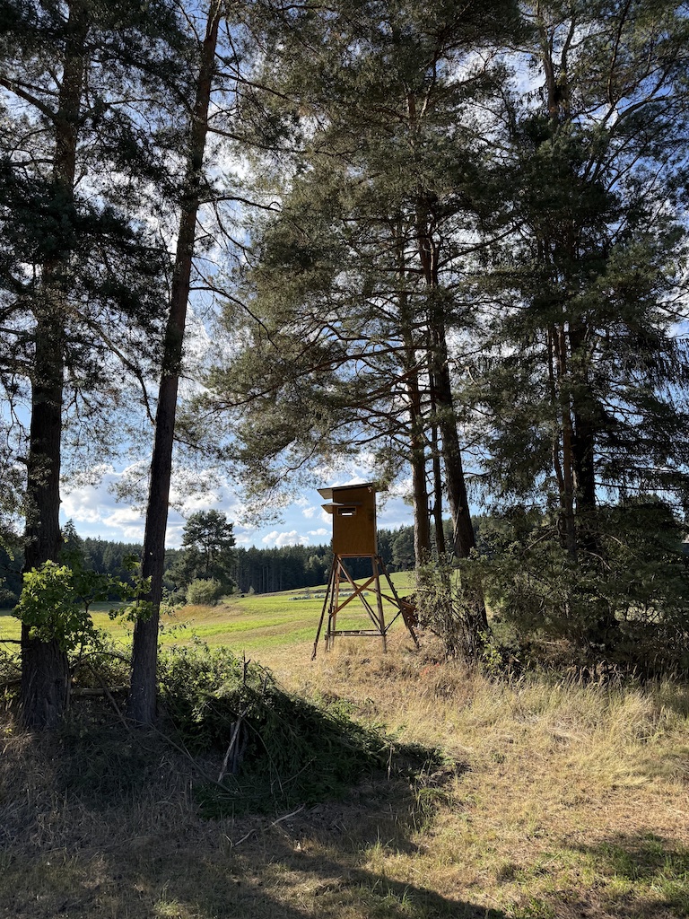 Hochstand 